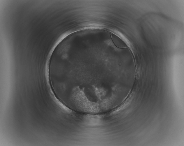 X0000111421243200907201041