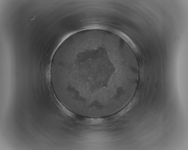 X0000111421244200907201041