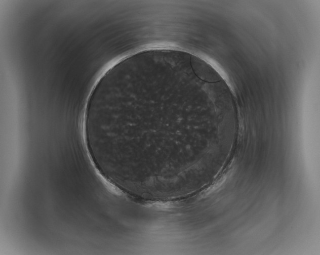 X0000111421245200907201041