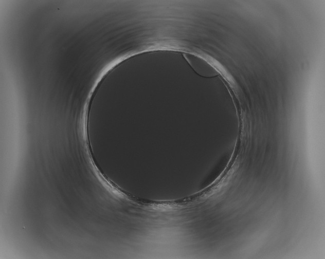 X0000111421246200907201041