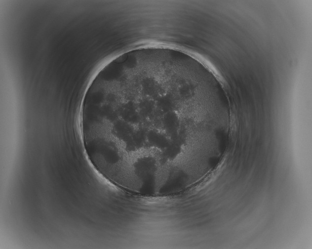 X0000111421247200907201041