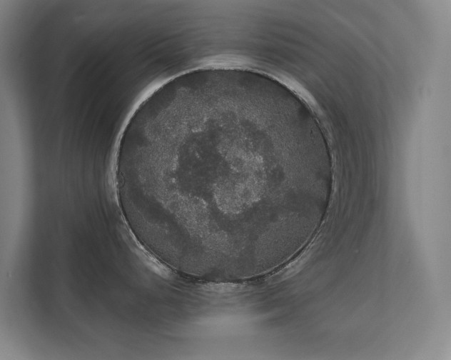 X0000111421248200907201041