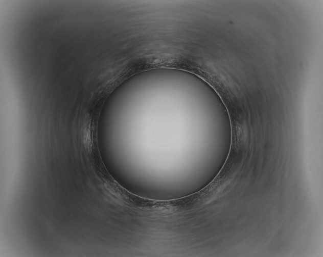 X0000111421250200907201041