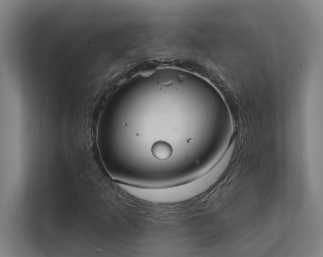 X0000111421253200907201041