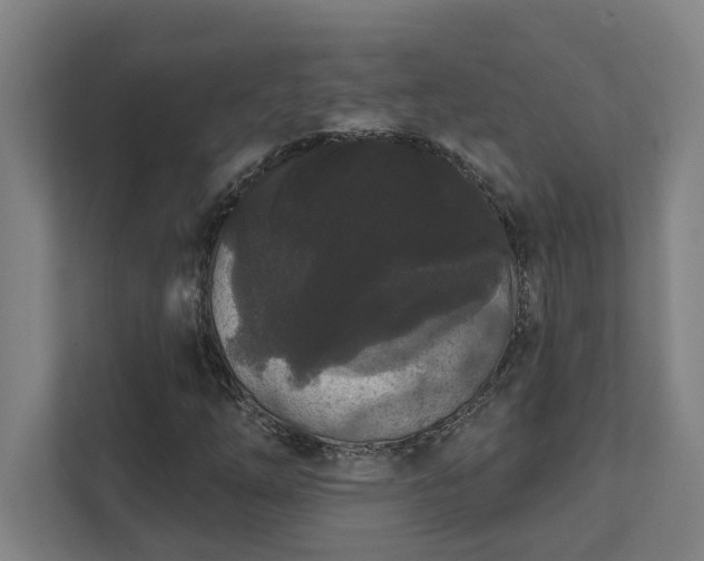 X0000111421254200907201041