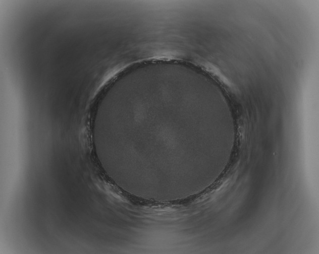 X0000111421256200907201041