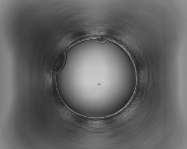 X0000111421257200907201041