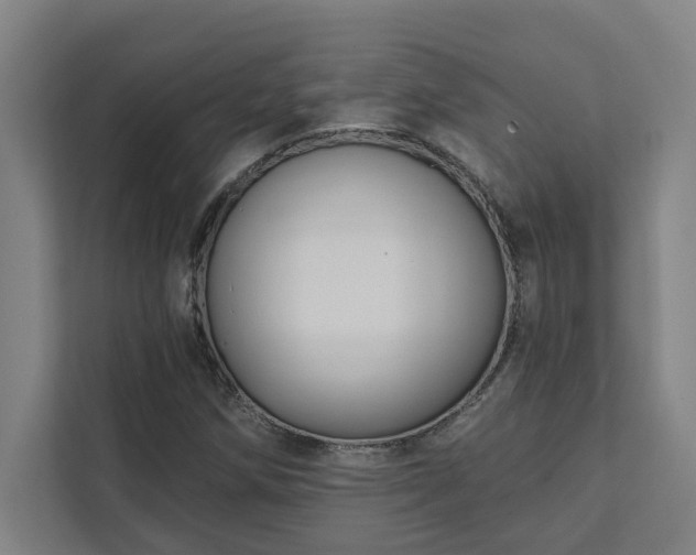 X0000111421258200907201041