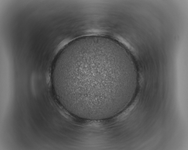 X0000111421259200907201041