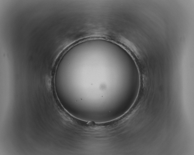 X0000111421260200907201041