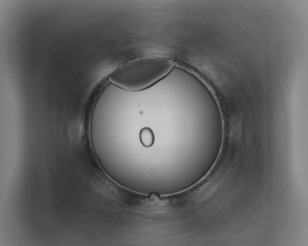 X0000111421261200907201041