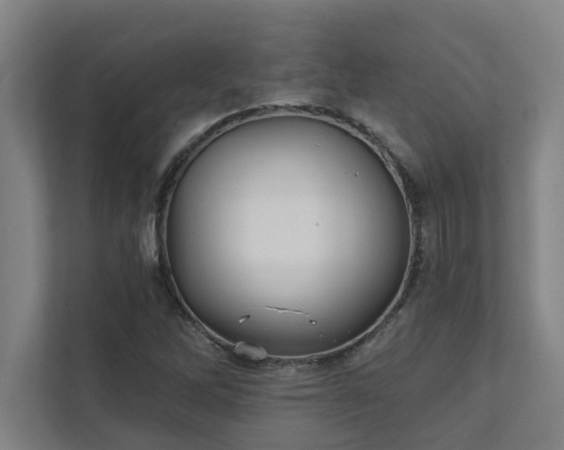 X0000111421262200907201040