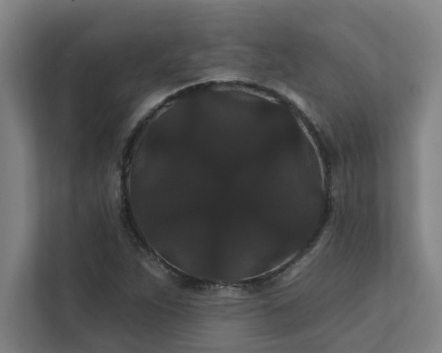 X0000111421263200907201040