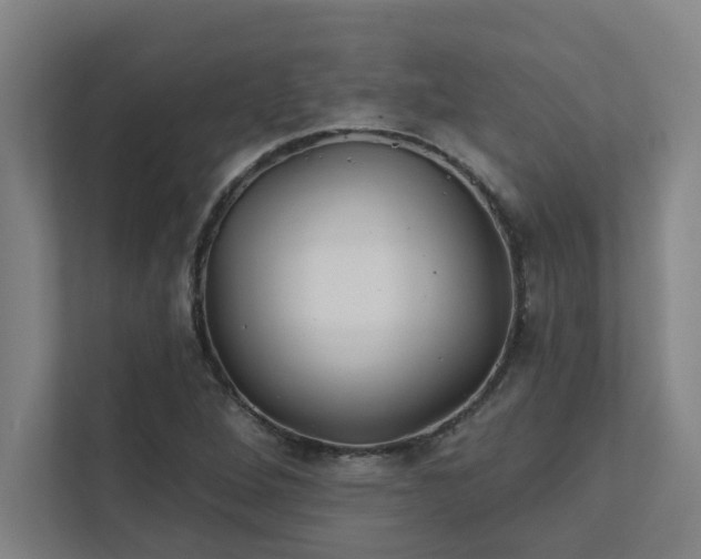 X0000111421264200907201040