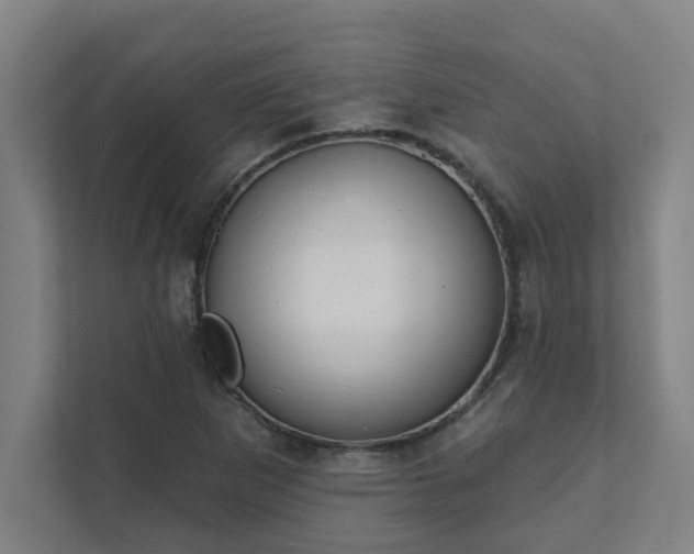 X0000111421265200907201040