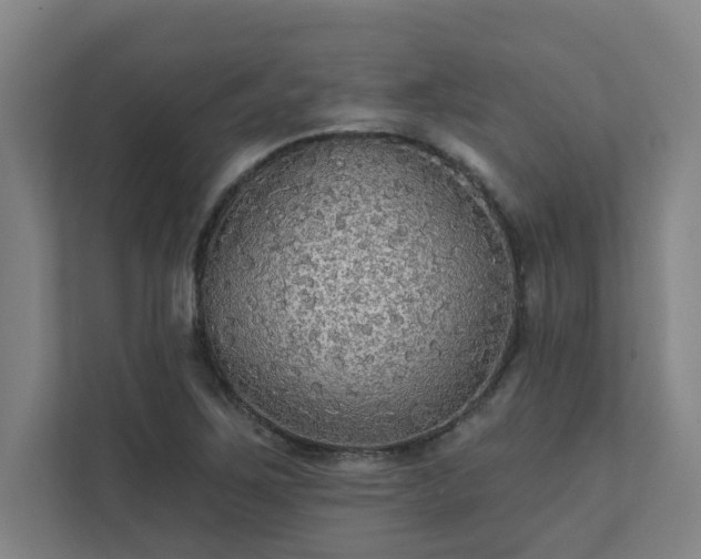 X0000111421267200907201040