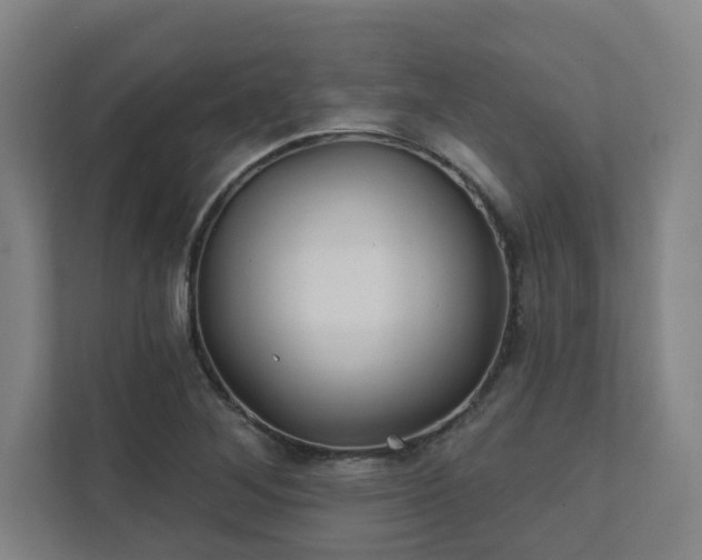 X0000111421268200907201040