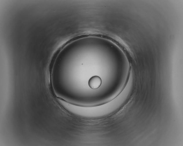 X0000111421269200907201040