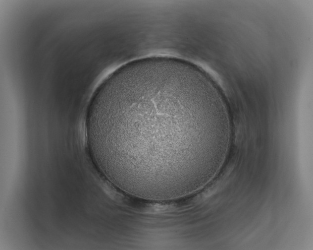 X0000111421271200907201040