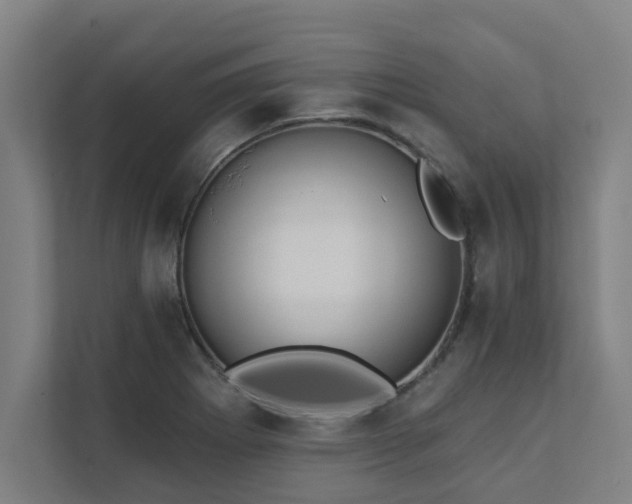 X0000111421273200907201040