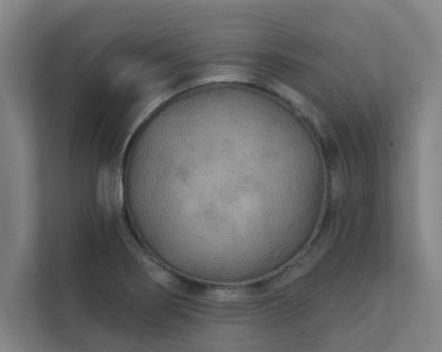 X0000111421274200907201040