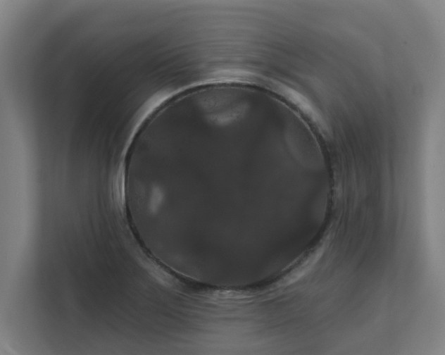 X0000111421275200907201040