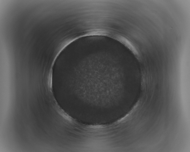 X0000111421276200907201040