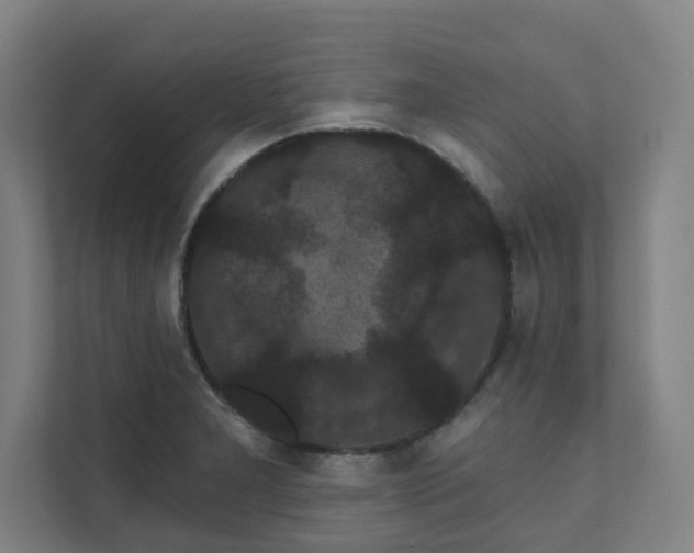 X0000111421277200907201040