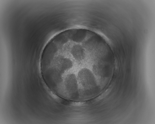 X0000111421278200907201040