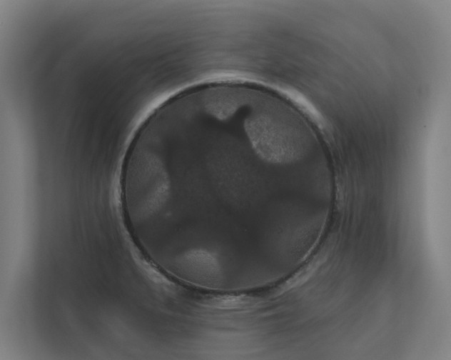 X0000111421279200907201040