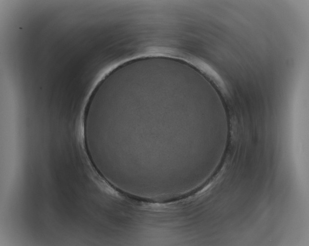 X0000111421280200907201040