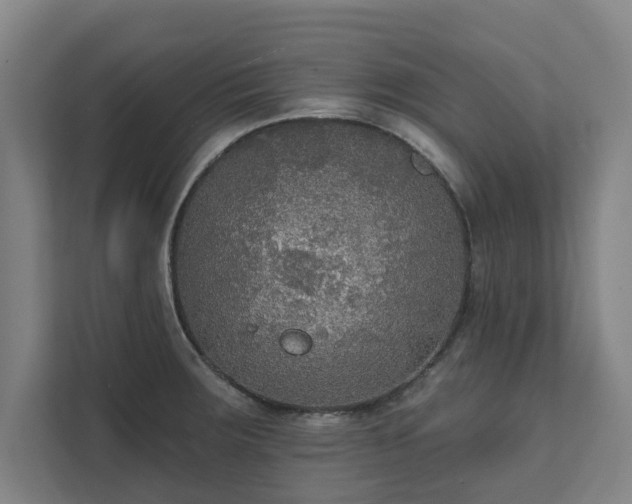 X0000111421283200907201040