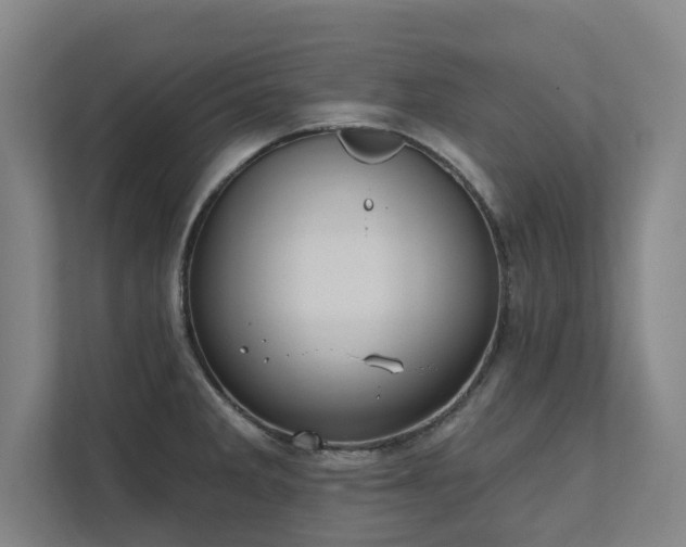 X0000111421285200907201040