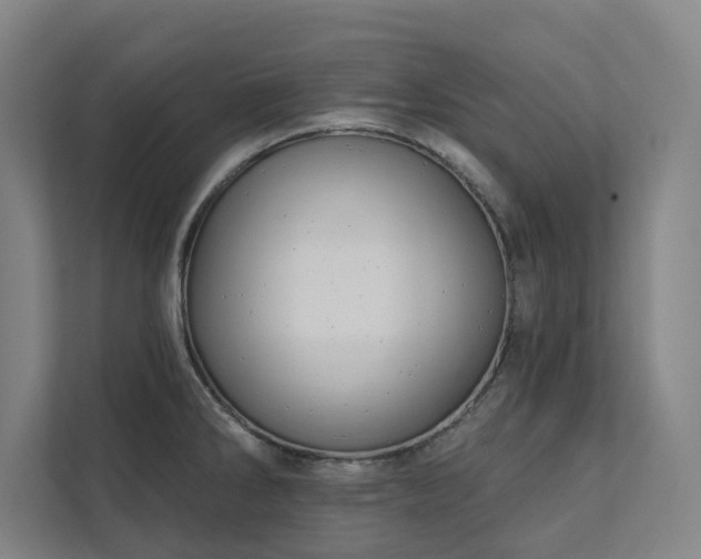 X0000111421286200907201040