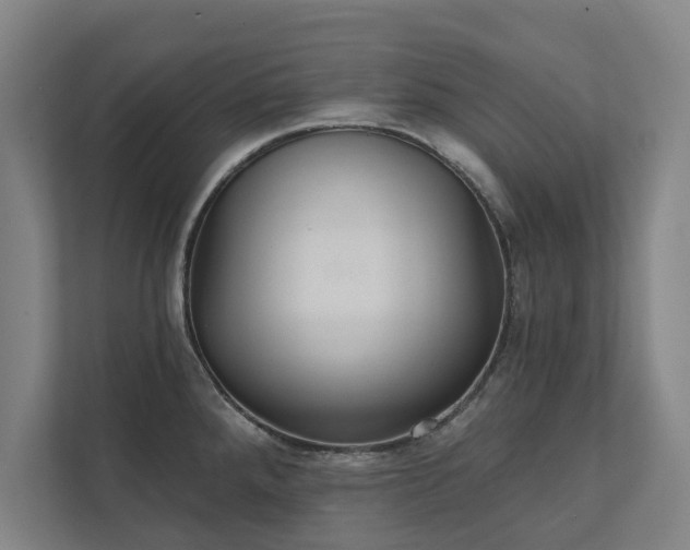 X0000111421288200907201040