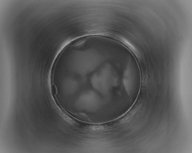 X0000111421291200907201040