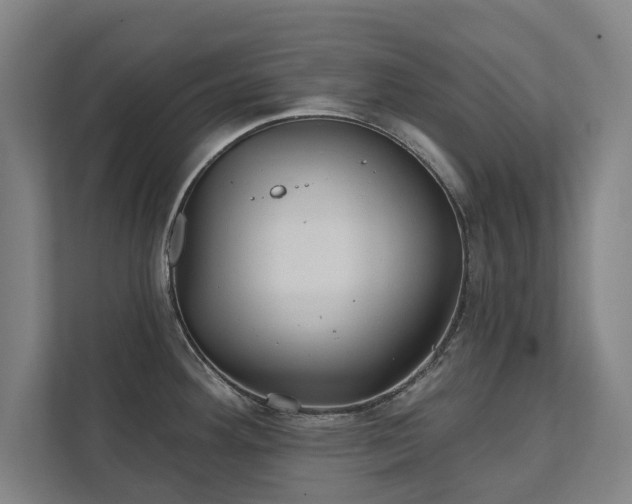 X0000111421292200907201040