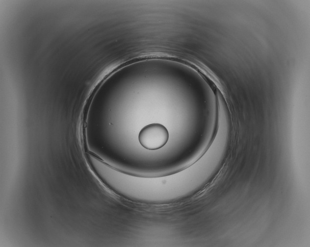 X0000111421293200907201040