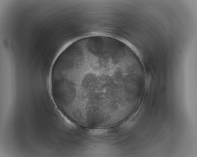 X0000111421294200907201040