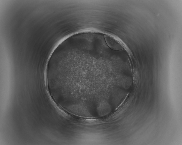 X0000111421295200907201040