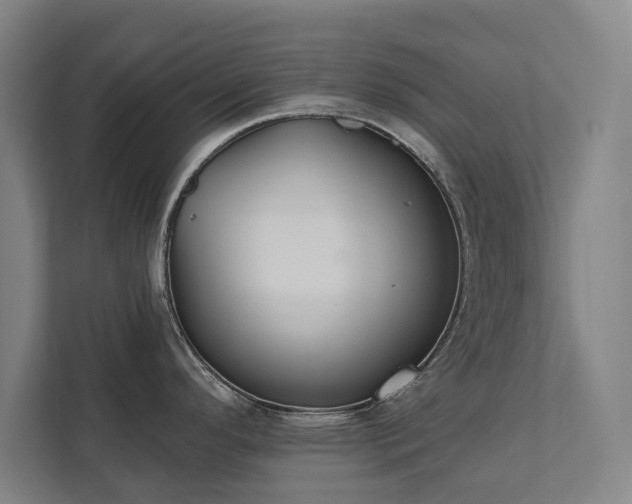 X0000111421296200907201040