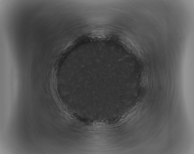 X0000111421297200907201039