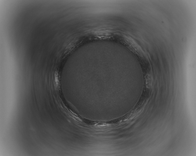 X0000111421298200907201039