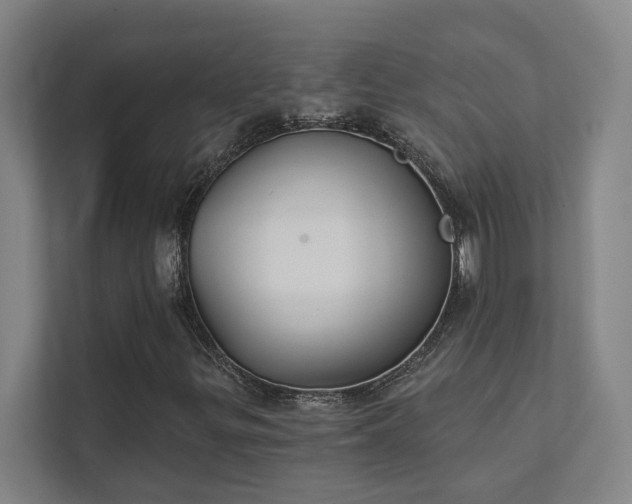 X0000111421299200907201039