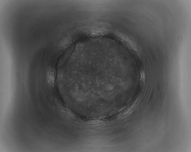 X0000111421300200907201039