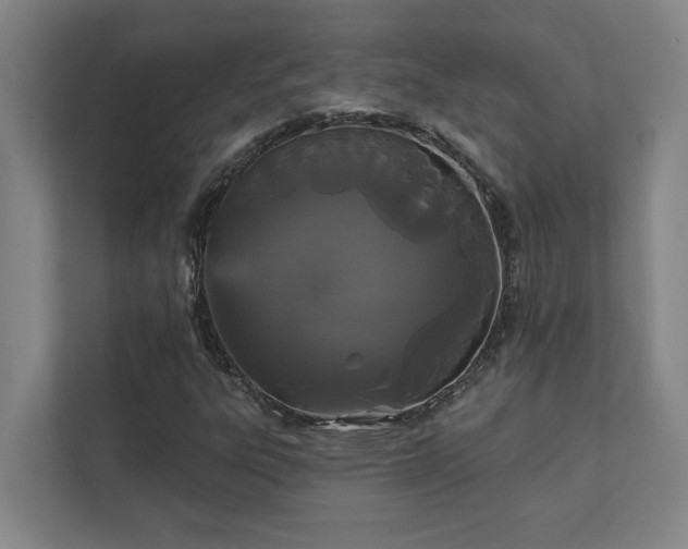 X0000111421303200907201040