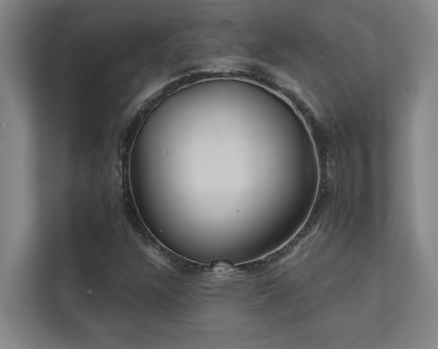 X0000111421304200907201040