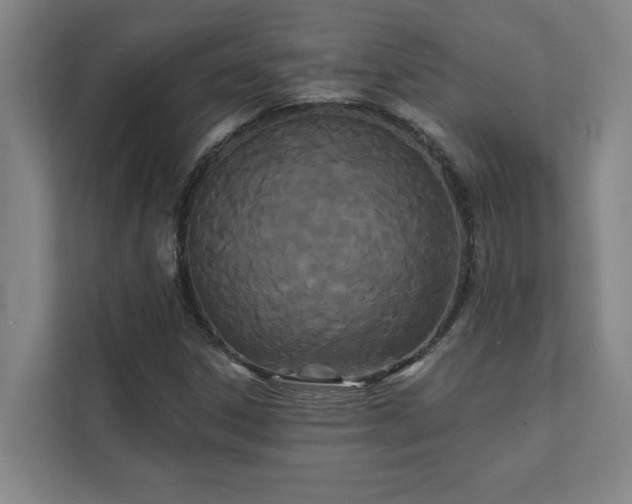 X0000111421306200907201040