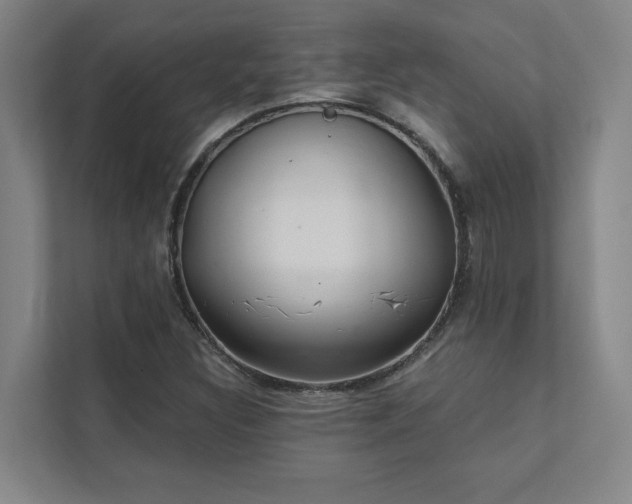 X0000111421308200907201040