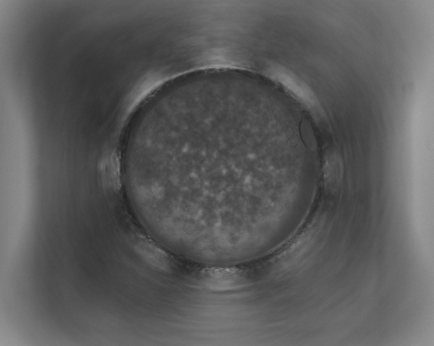 X0000111421310200907201040